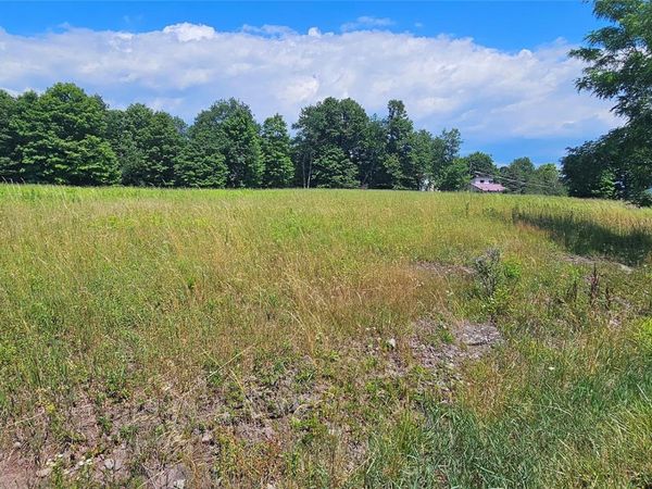 w/s Divine Corners Road , Loch Sheldrake, NY 12759
