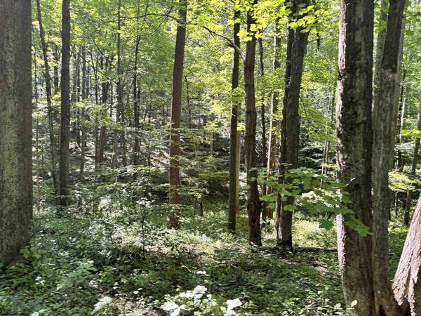 110 Danner Road, Belington, WV 26250