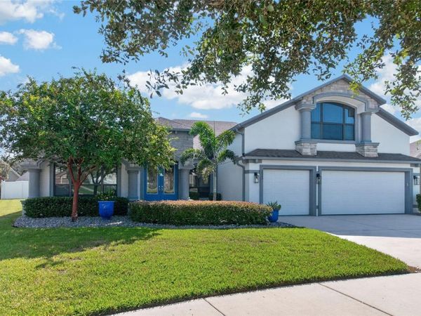 2823 COLEWOOD LANE, DOVER, FL 33527