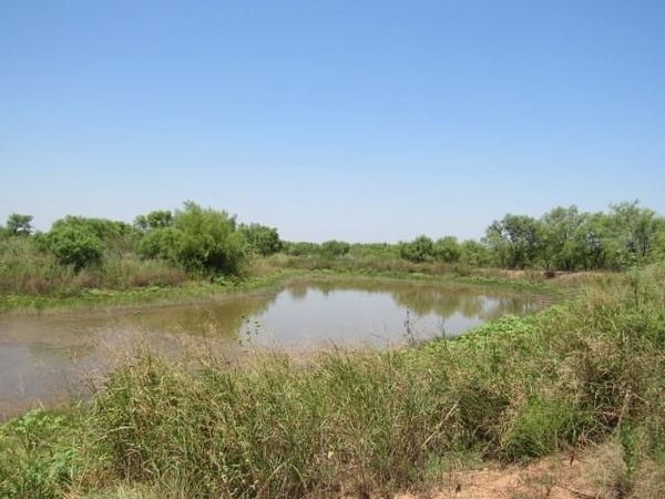 TBD County Road 211 , Brookesmith, TX 76827