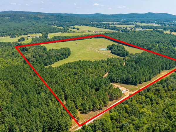 TBD 56.13 Acres BROKEN BOW Lane, Bismarck, AR 71929
