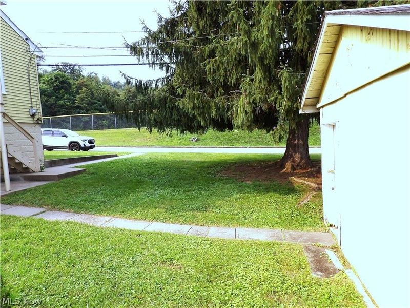 3800 Olive Street, Shadyside, OH 43947 Photo 22