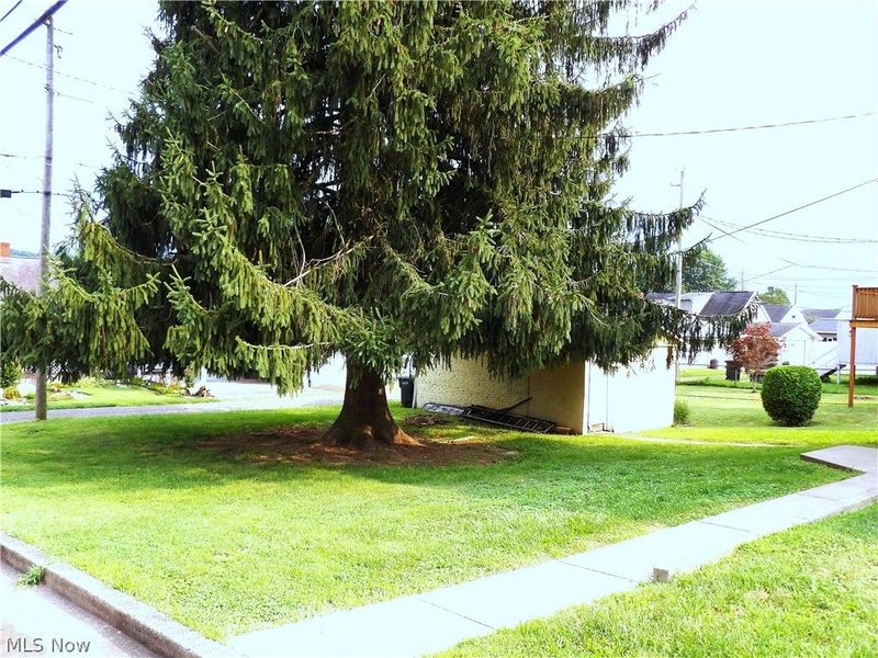 3800 Olive Street, Shadyside, OH 43947 Photo 23