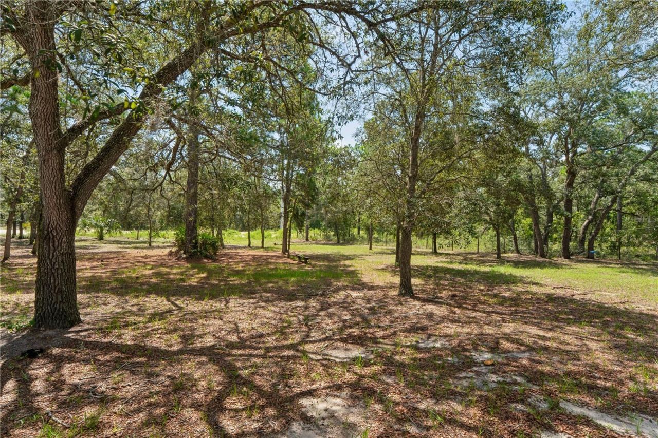 12408 Kanawha Drive, Weeki Wachee, FL 34614 Photo