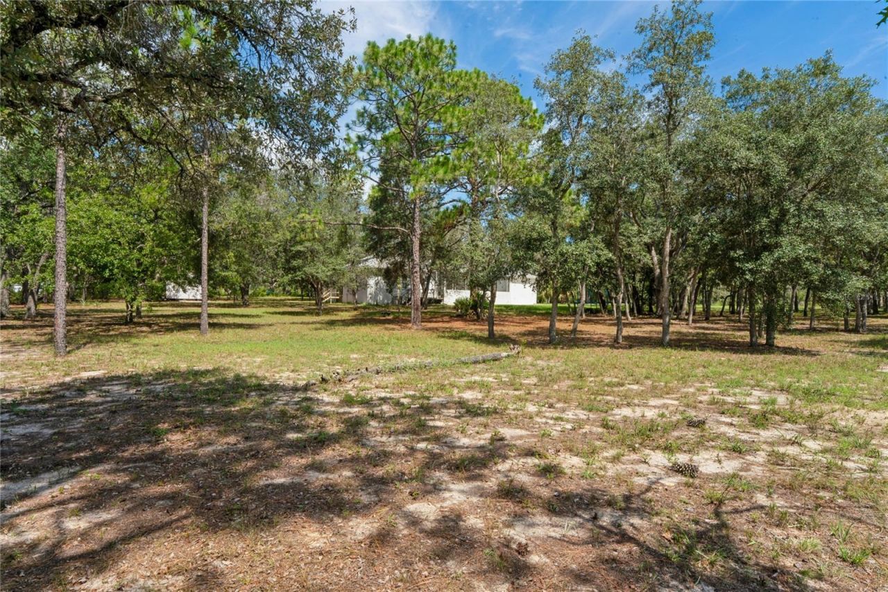 12408 Kanawha Drive, Weeki Wachee, FL 34614 Photo