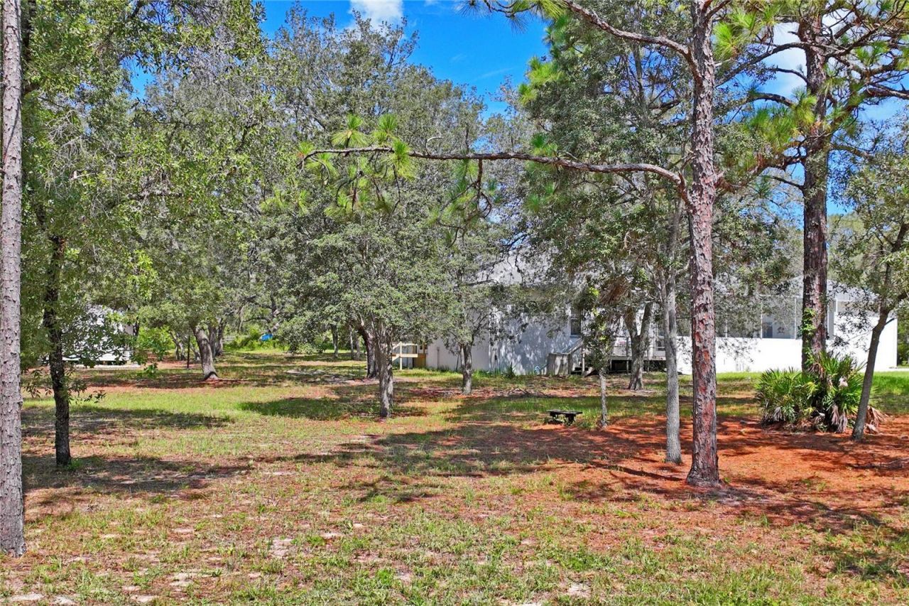 12408 Kanawha Drive, Weeki Wachee, FL 34614 Photo