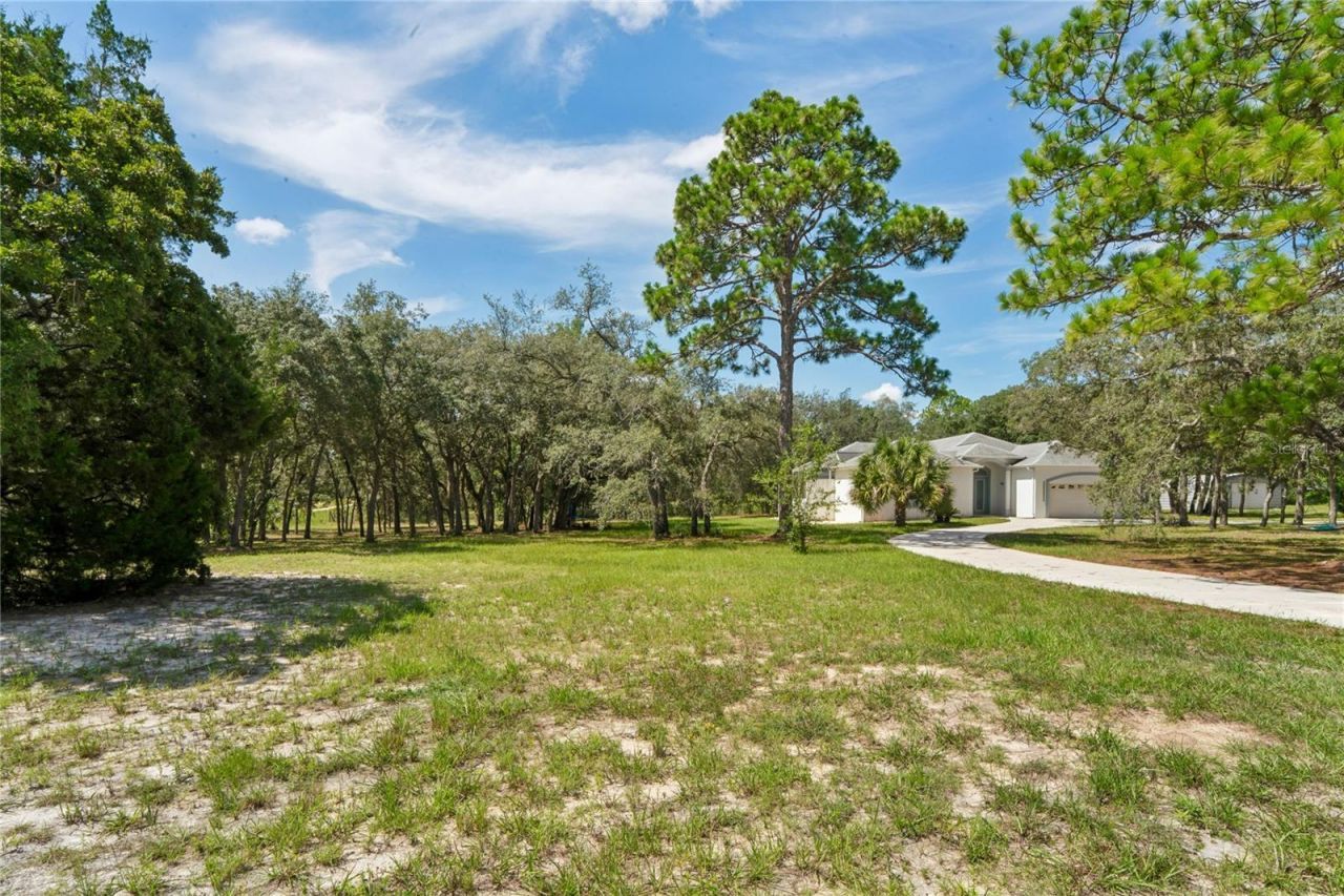 12408 Kanawha Drive, Weeki Wachee, FL 34614 Photo