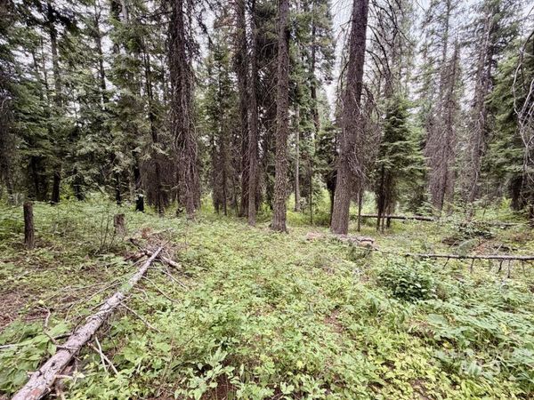 56 Burnt Wagon Trail, Donnelly, ID 83615