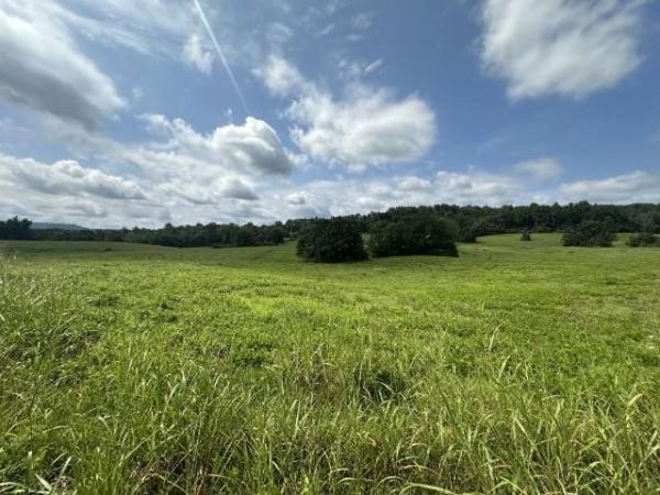 0 Plum Creek Rd, Sparta, TN 38583