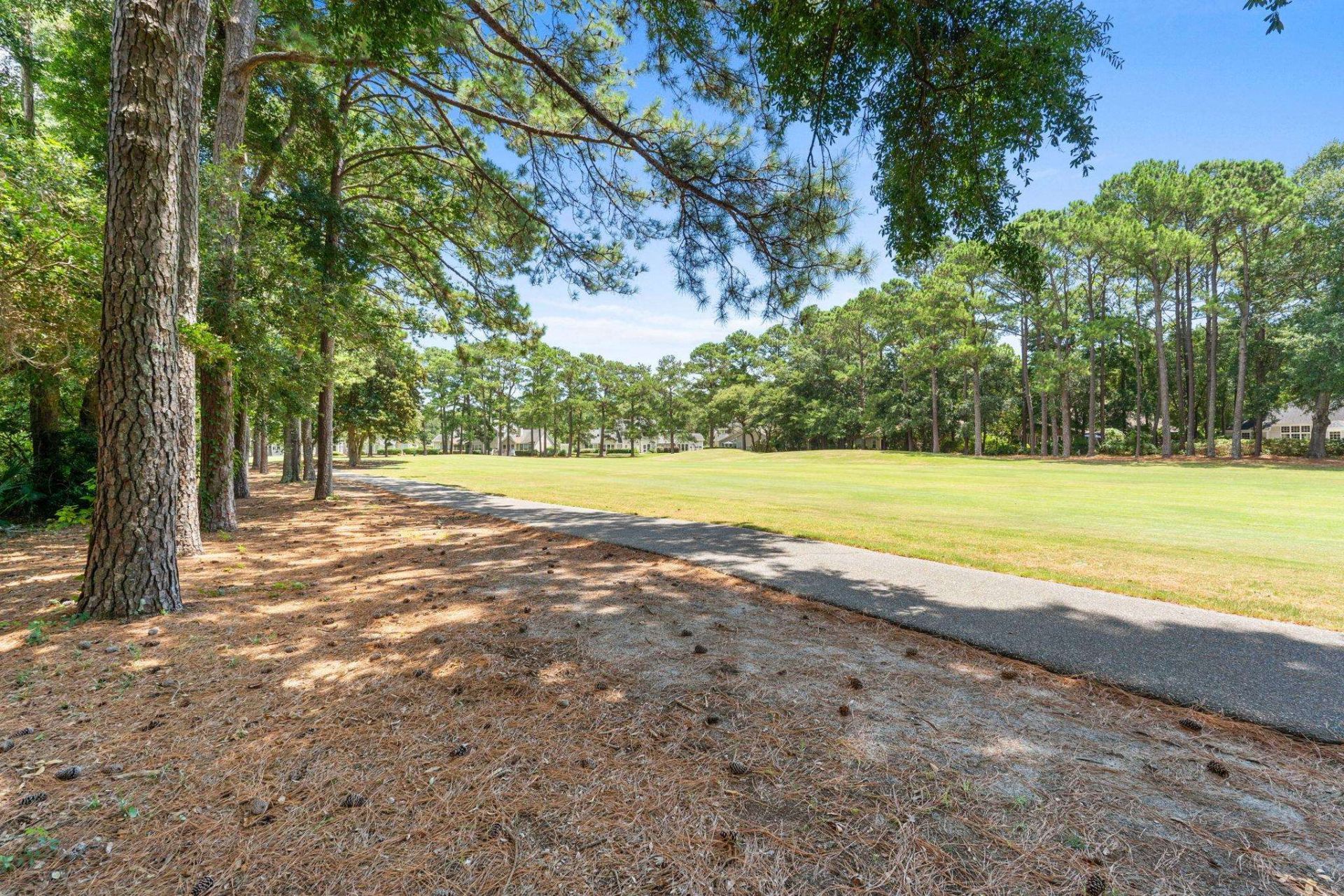 168 Mackinley Circle Photo 60