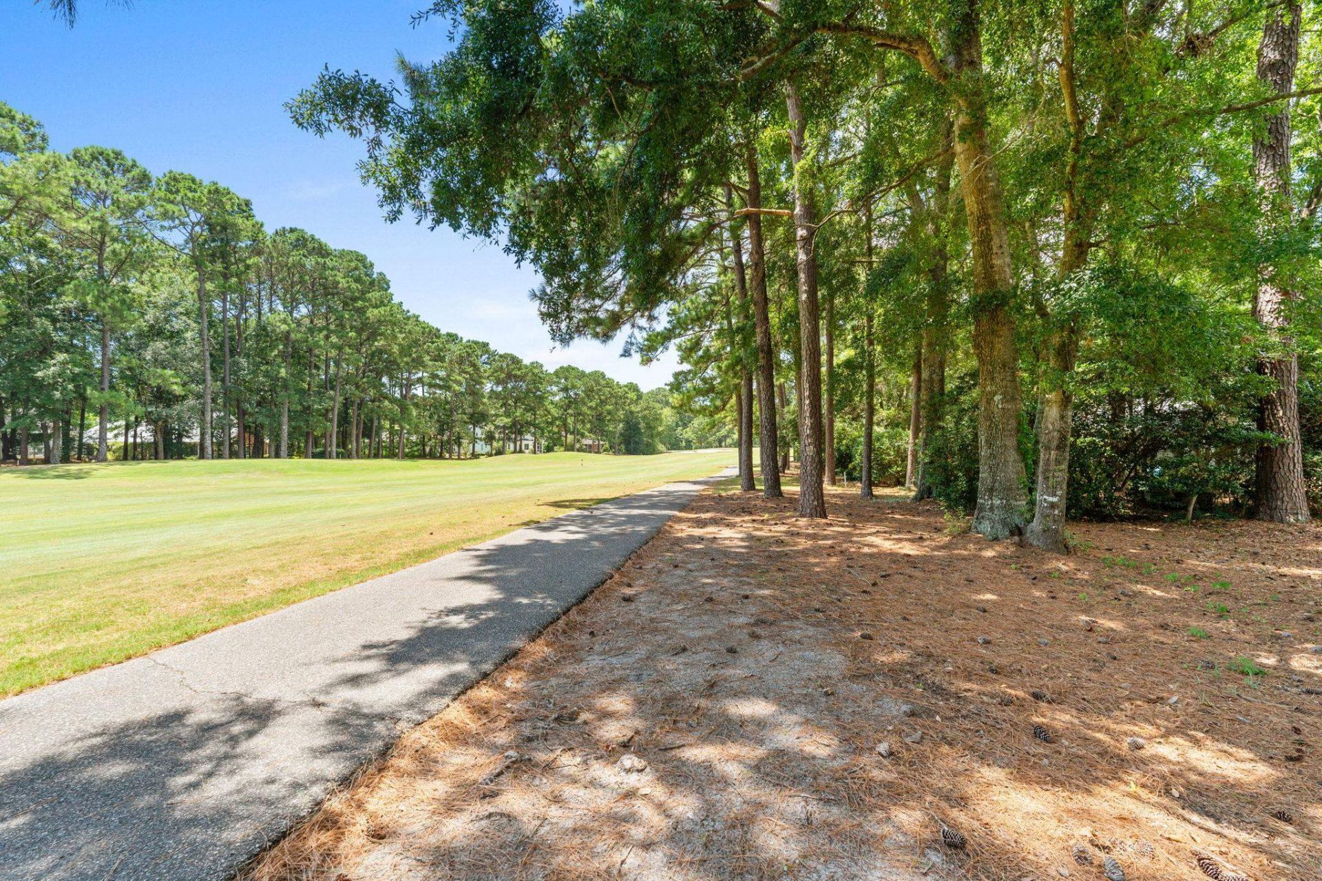 168 Mackinley Circle Photo 61