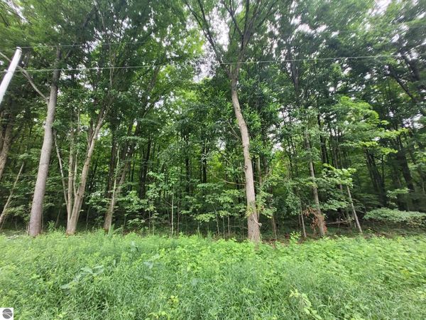 7 1/2 Road S, Harrietta, MI 49638