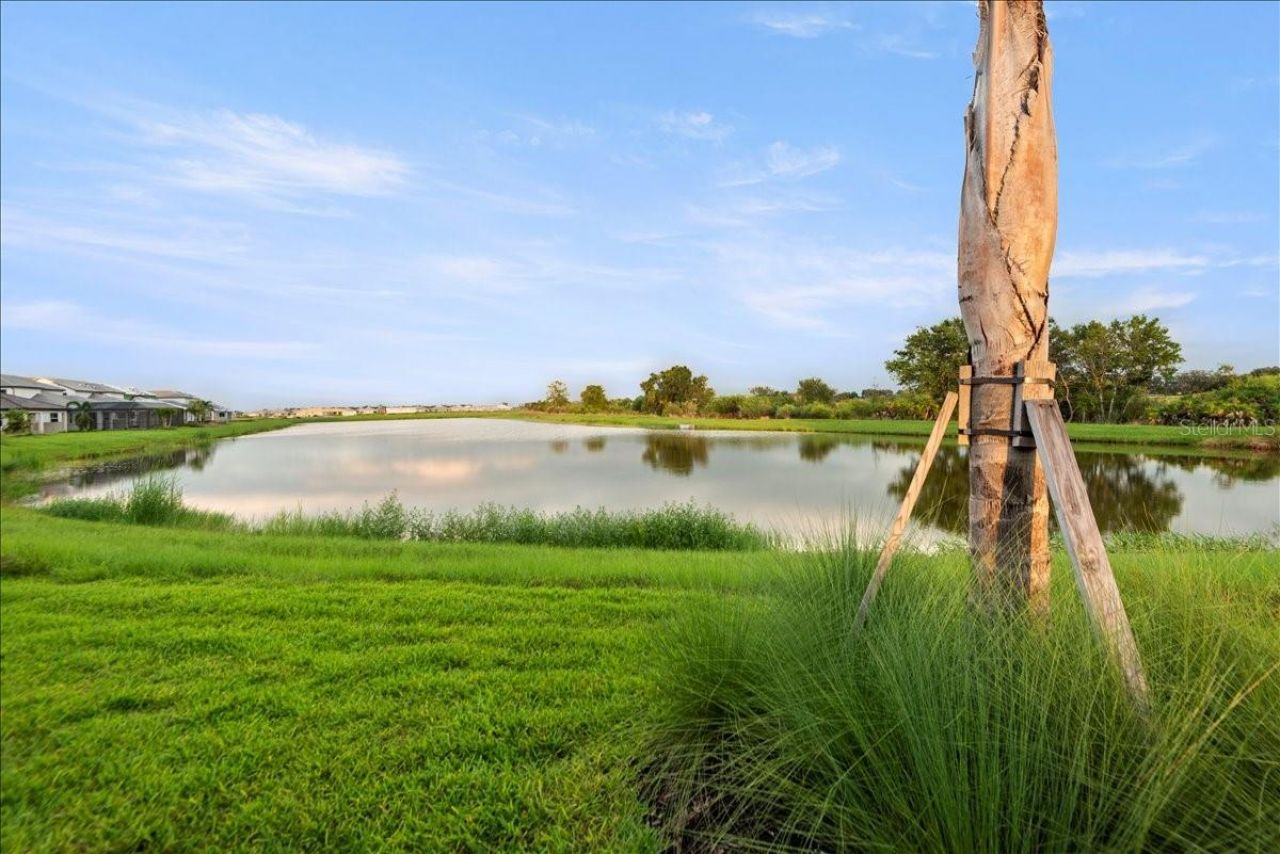 17703 Savory Mist Circle, Lakewood Ranch, FL 34211 Photo