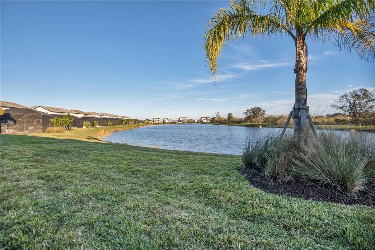 17703 Savory Mist Circle, Lakewood Ranch, FL 34211 Photo