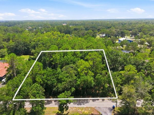 RAVEN BROOK ROAD , WESLEY CHAPEL, FL 33544