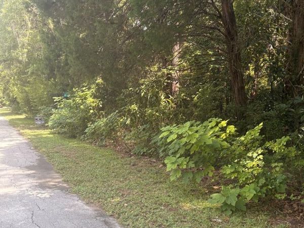 Commissary Rd., Otter Creek, FL 32683