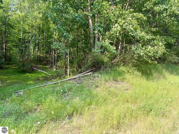 River Road, Lake Isabella, MI 48893
