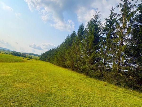 Lot 14 Katy Lane, Davis, WV 26260