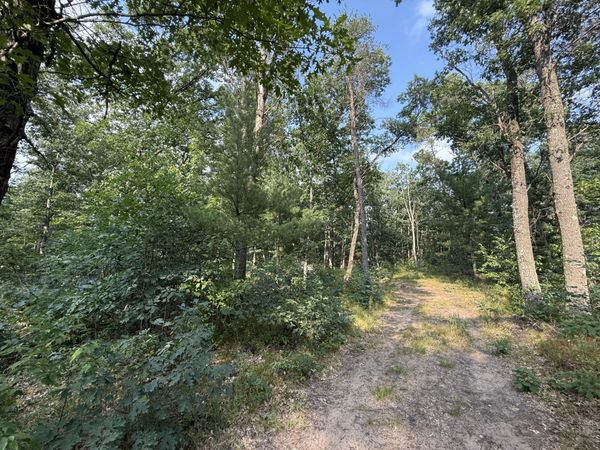 2668 W Moonflower, Baldwin, MI 49304