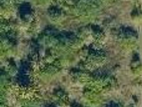 13074 71st Place N, The Acreage, FL 33412