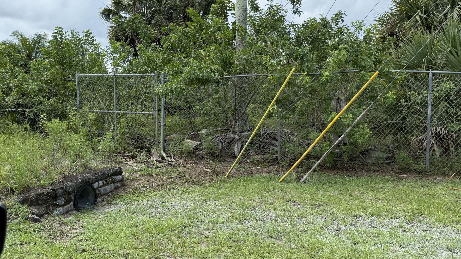 13074 71st Place N, The Acreage, FL 33412 Photo