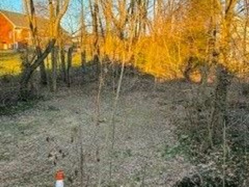 361 Centownship Roadal Court, Steubenville, OH 43952 Photo 6