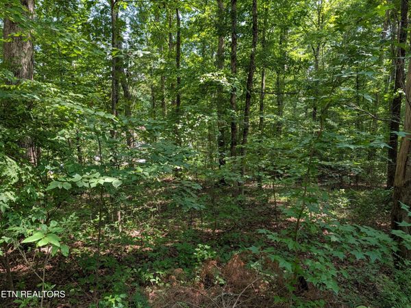White St, Rockwood, TN 37854