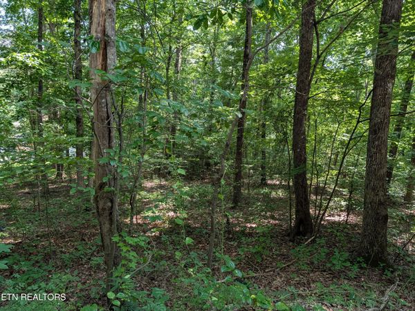 White St, Rockwood, TN 37854