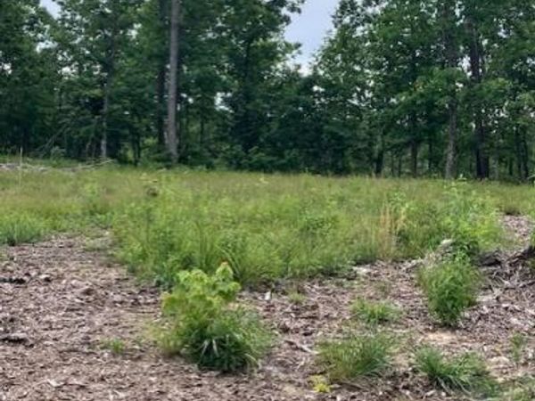 276 Madison CR 410 , Fredericktown, MO 63645
