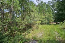 5325 Bush River Road  photo 4