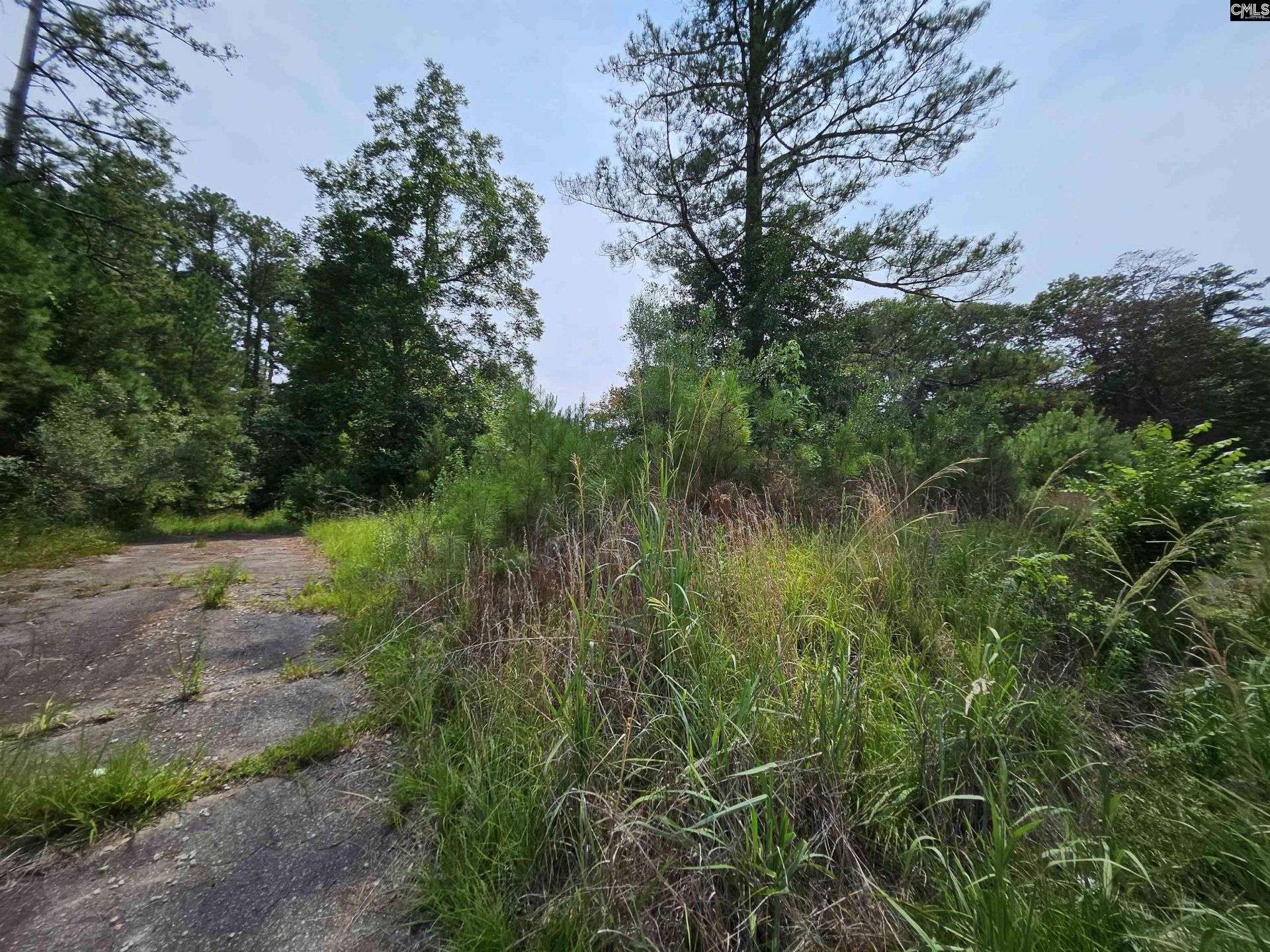 5325 Bush River Road  Photo 4