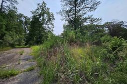 5325 Bush River Road  photo 4