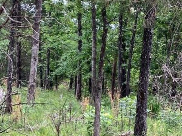 278 Madison CR 410 , Fredericktown, MO 63645
