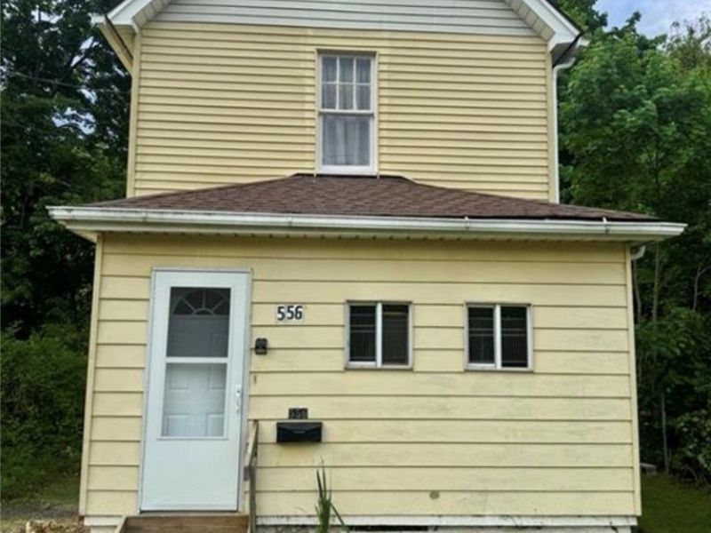556 W Myrtle Avenue, Youngstown, OH 44511 Photo 1