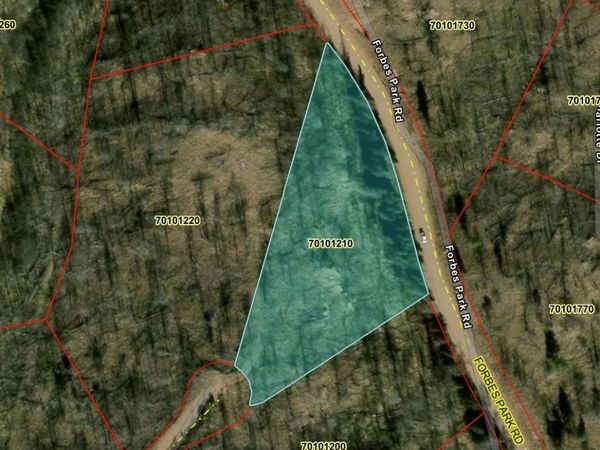 LOT 218 Wergeles Place , Fort Garland, CO 81133