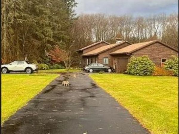 1979 Randolph Road, Ashville, NY 14710
