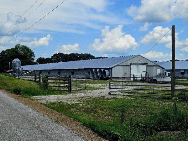 1400 Co Rd 70, Rogersville, AL 35652