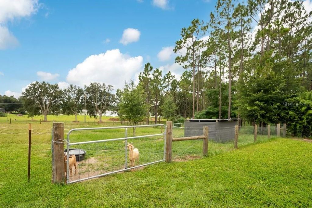 11206 Howey Cross Road, Clermont, FL 34715 Photo