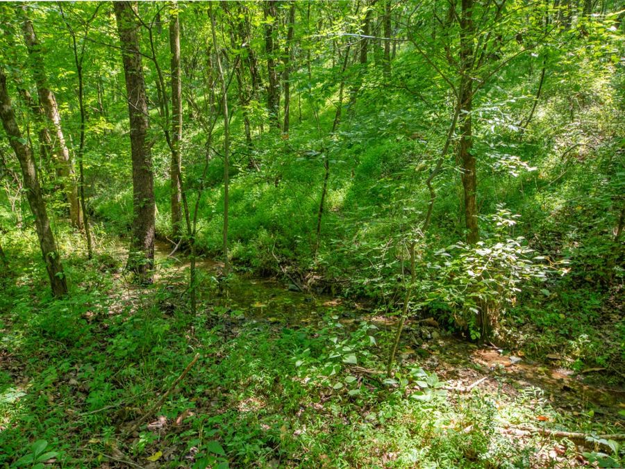 Property Image 52