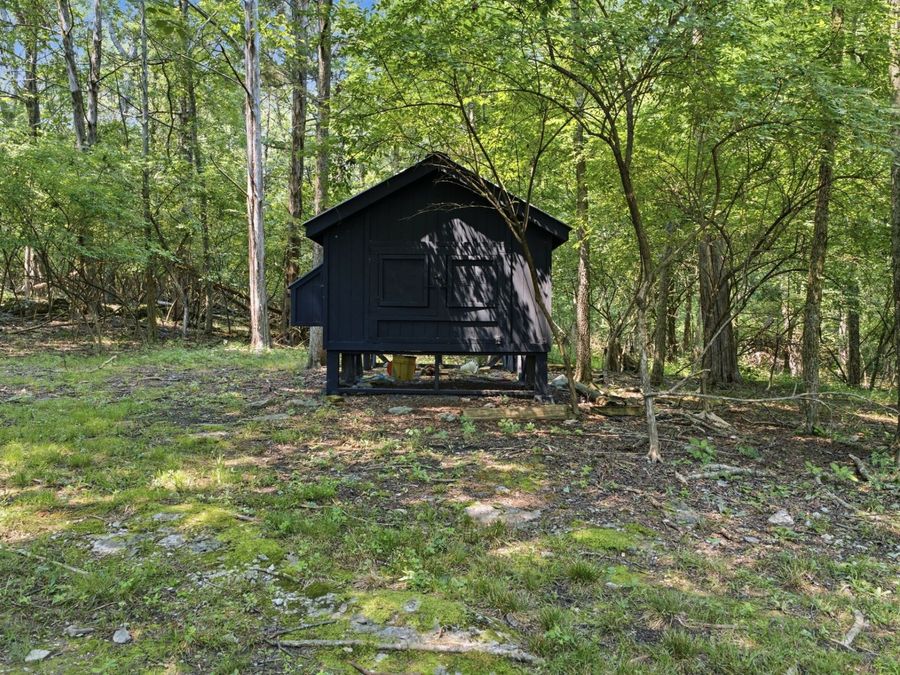 Property Image 46