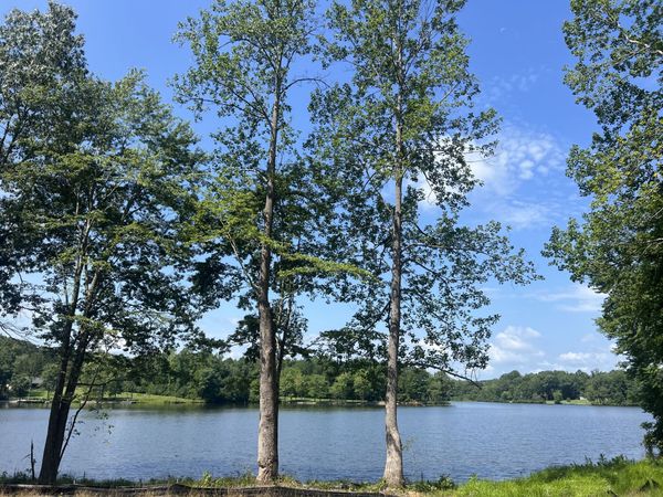 33 Arrowhead Pt Lot 175 , Cedar Grove, TN 38321