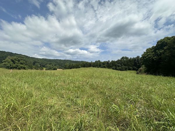 0 Plum Creek Rd , Unit 8, Sparta, TN 38583