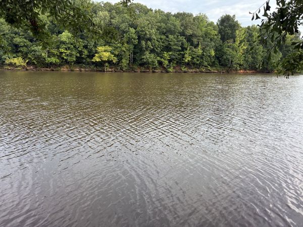 0 D D S Cv , Unit 269, Decaturville, TN 38329