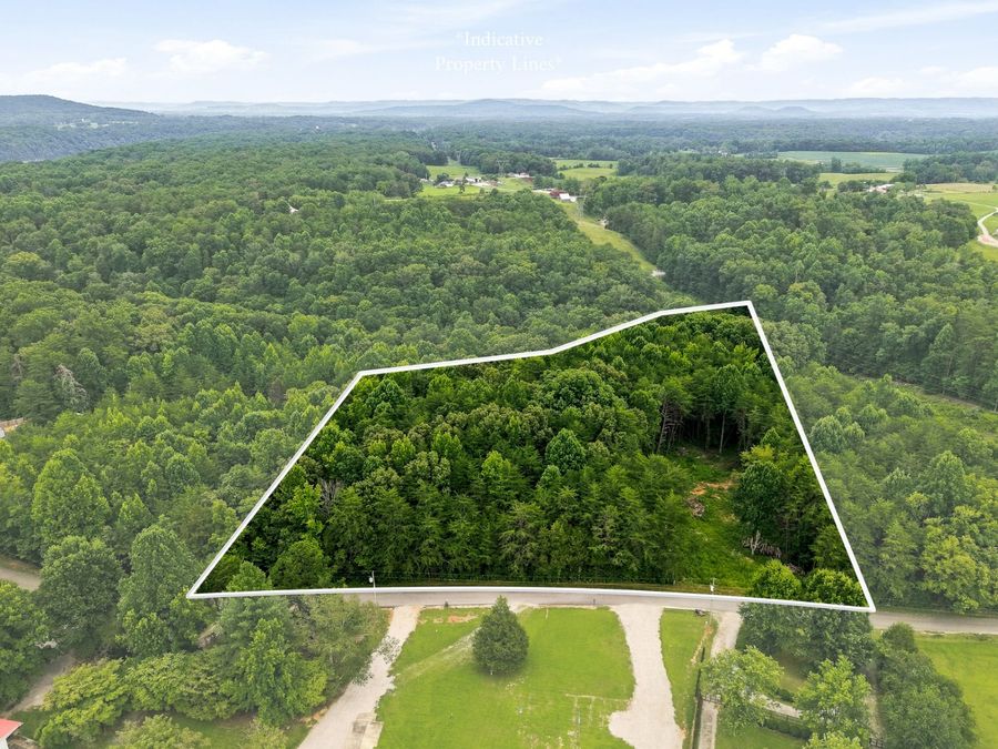 Property Image 6