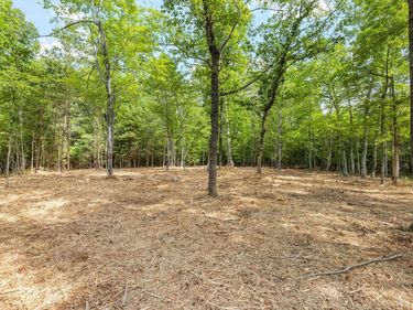 TBD WESLEY CHAPEL RD, Free Union, VA 22940
