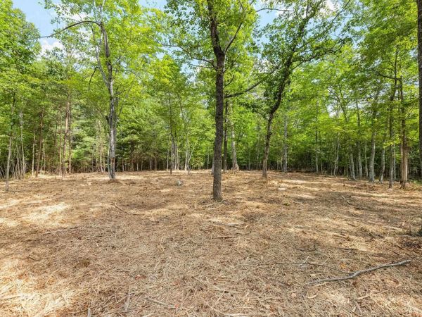 TBD WESLEY CHAPEL RD, Free Union, VA 22940