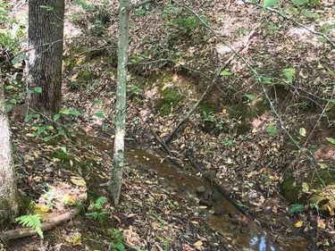 22 PINEY MOUNTAIN LN, Shipman, VA 22971