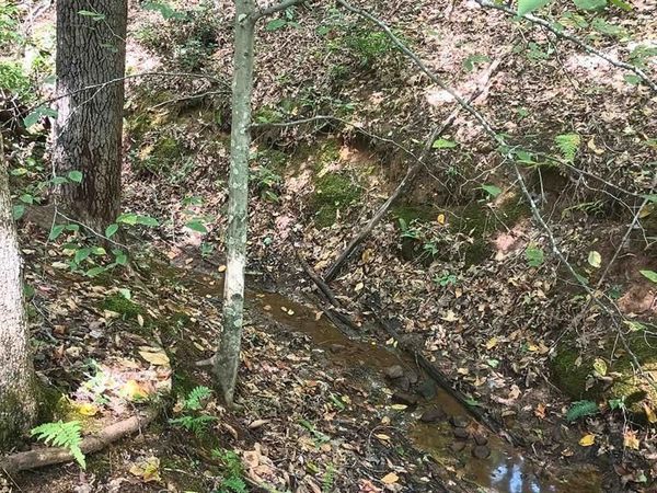 22 PINEY MOUNTAIN LN, Shipman, VA 22971