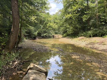 399 Whitaker Cemetery Rd Road, Somerset, KY 42503