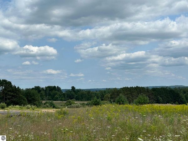 Cook Road, Williamsburg, MI 49690